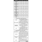 Elegant Fortuna trench coat - black