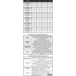 Steppelt OZORA - fekete M